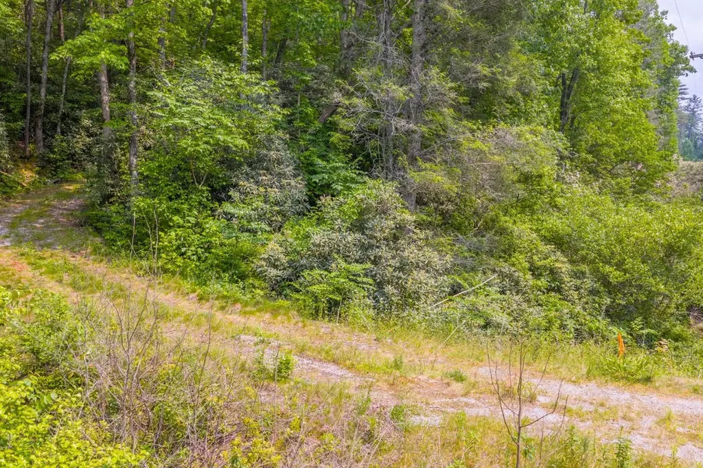 Tbd S Highway 107 Cashiers NC 28717