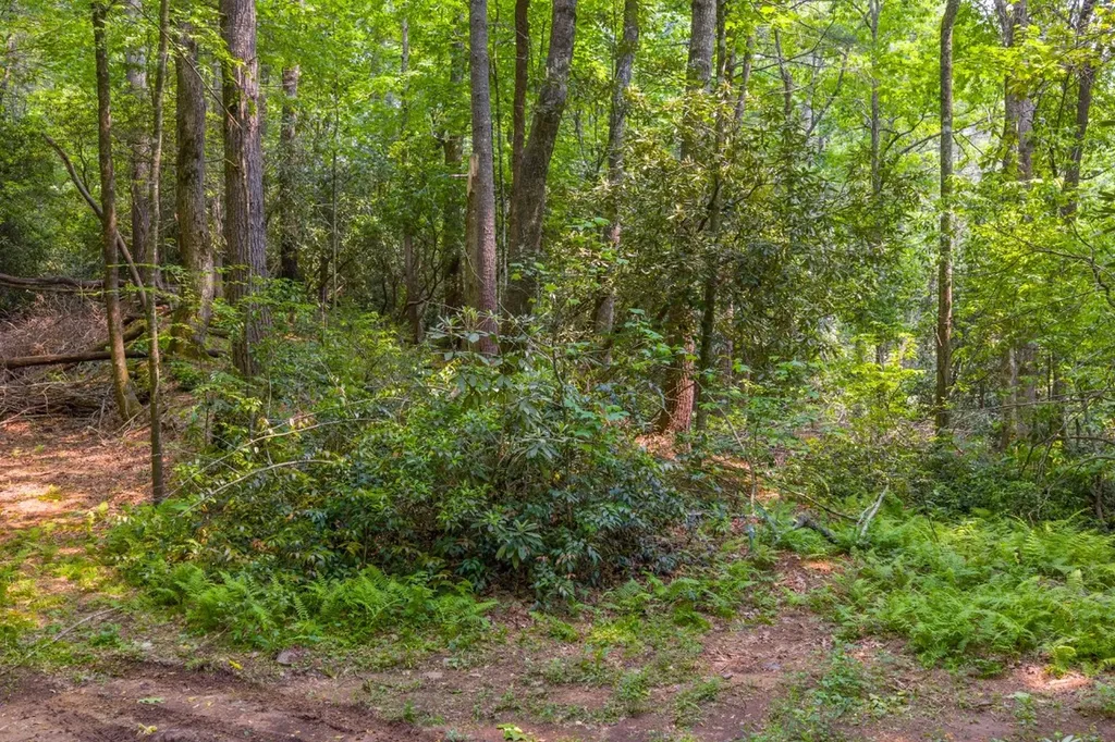 Tbd S Highway 107 Cashiers NC 28717