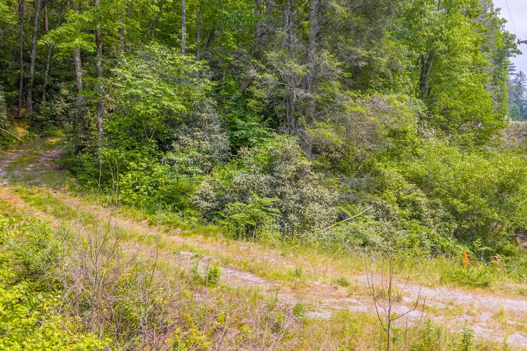 Tbd S Highway 107 Cashiers NC 28717