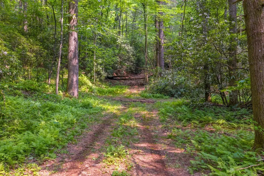 Tbd S Highway 107 Cashiers NC 28717