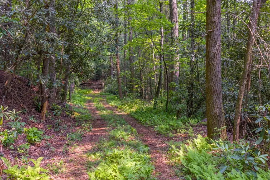 Tbd S Highway 107 Cashiers NC 28717