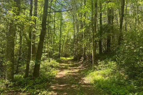 Tbd S Highway 107 Cashiers NC 28717