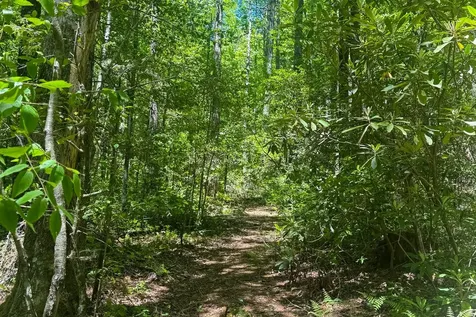 Tbd S Highway 107 Cashiers NC 28717