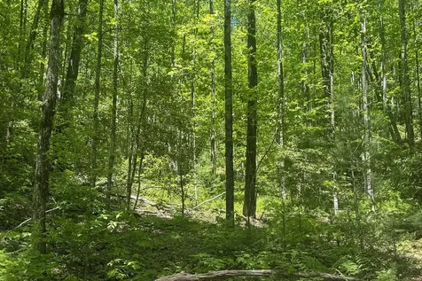 Tbd S Highway 107 Cashiers NC 28717