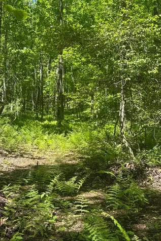 Tbd S Highway 107 Cashiers NC 28717