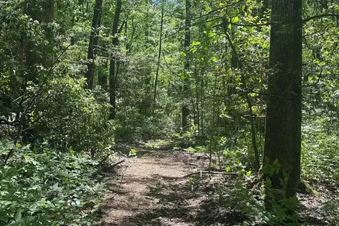 Tbd S Highway 107 Cashiers NC 28717