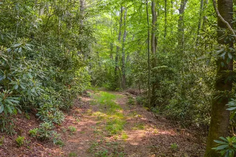 Tbd S Highway 107 Cashiers NC 28717