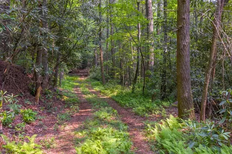 Tbd S Highway 107 Cashiers NC 28717