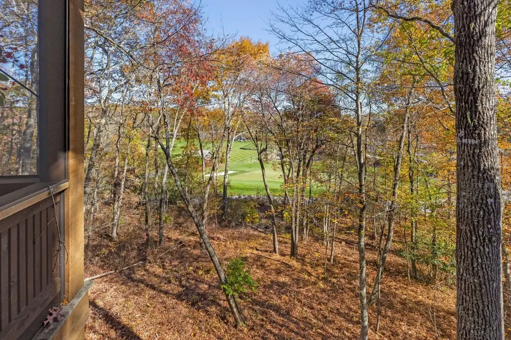 8 Mount Mitchell Court Cashiers NC 28717