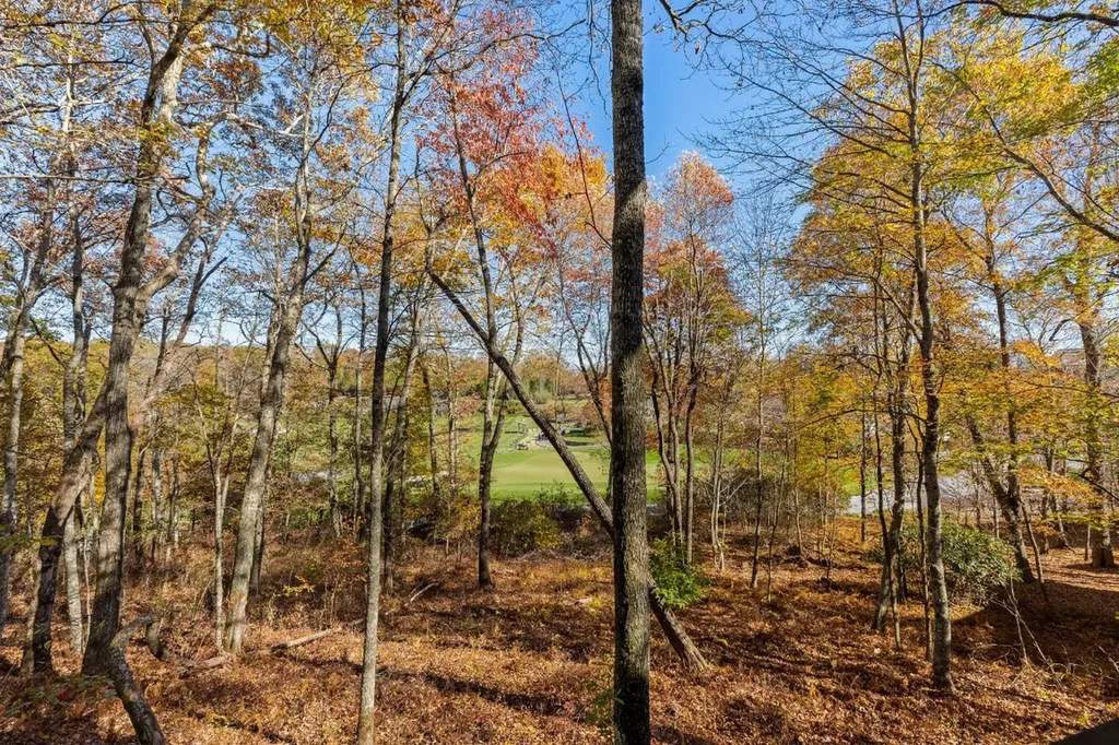 8 Mount Mitchell Court Cashiers NC 28717