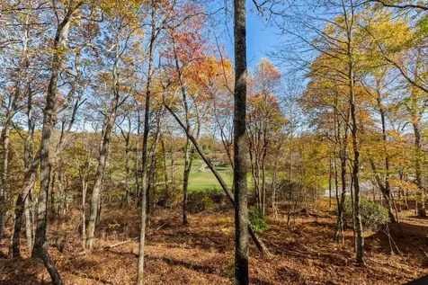 8 Mount Mitchell Court Cashiers NC 28717