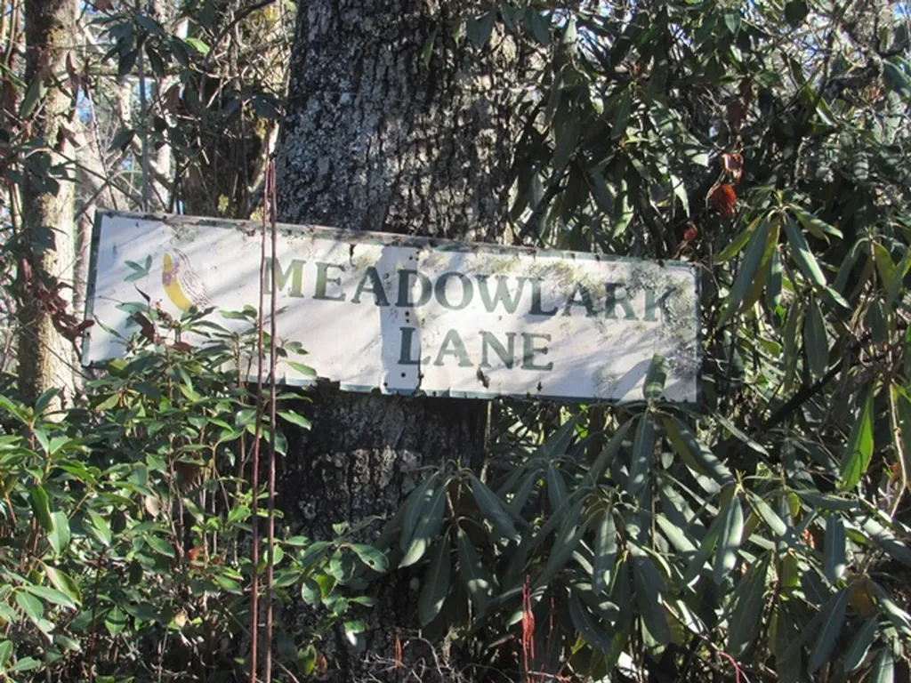 96 Meadowlark Lane Sapphire NC 28774