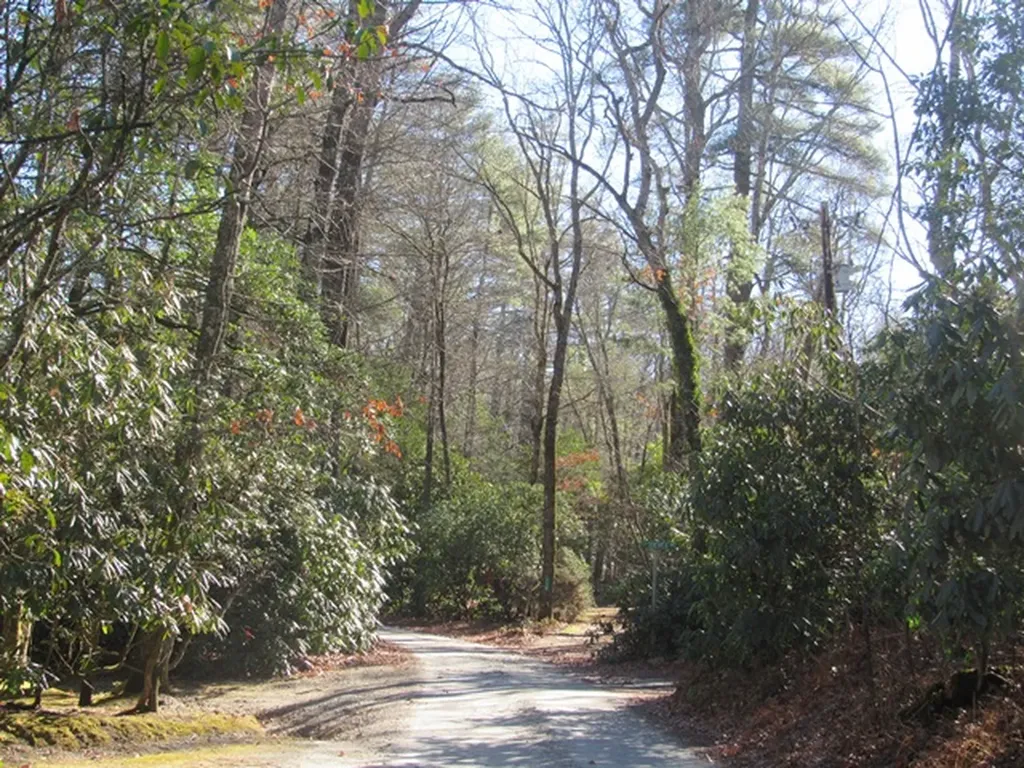 96 Meadowlark Lane Sapphire NC 28774