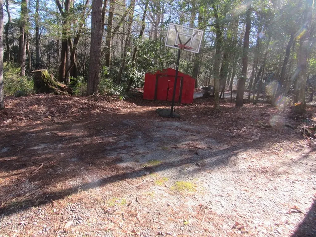 96 Meadowlark Lane Sapphire NC 28774