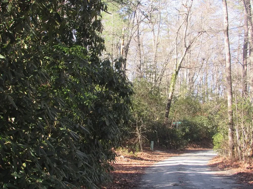 96 Meadowlark Lane Sapphire NC 28774