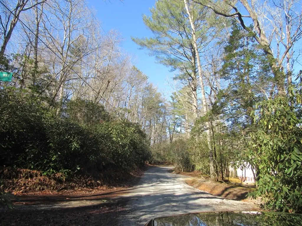 96 Meadowlark Lane Sapphire NC 28774