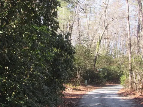 96 Meadowlark Lane Sapphire NC 28774