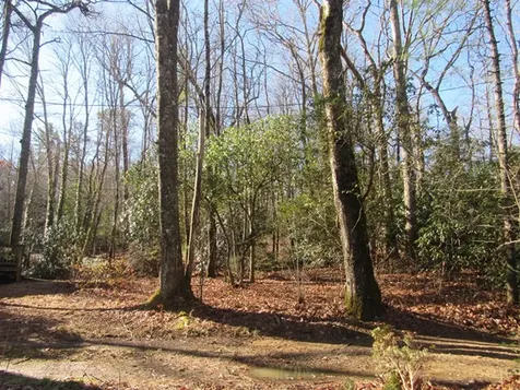 96 Meadowlark Lane Sapphire NC 28774