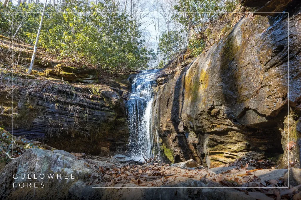 53/65B Cullowhee Forest Road Cullowhee NC 28723