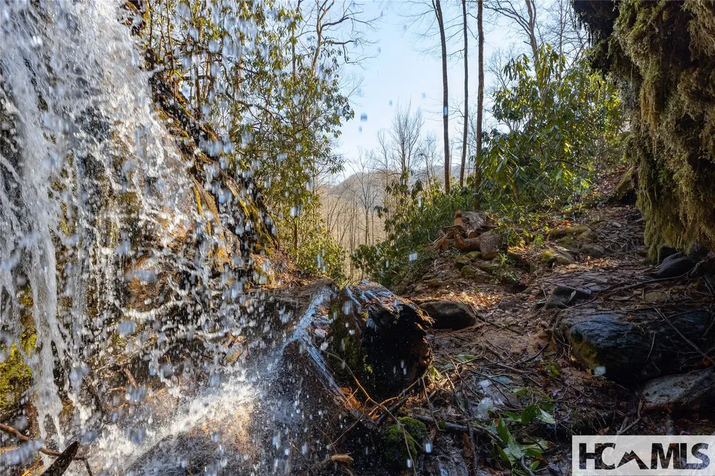 53/65B Cullowhee Forest Road Cullowhee NC 28723