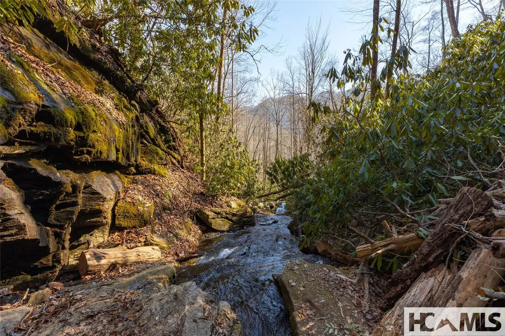 53/65B Cullowhee Forest Road Cullowhee NC 28723