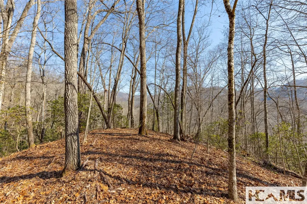 53/65B Cullowhee Forest Road Cullowhee NC 28723
