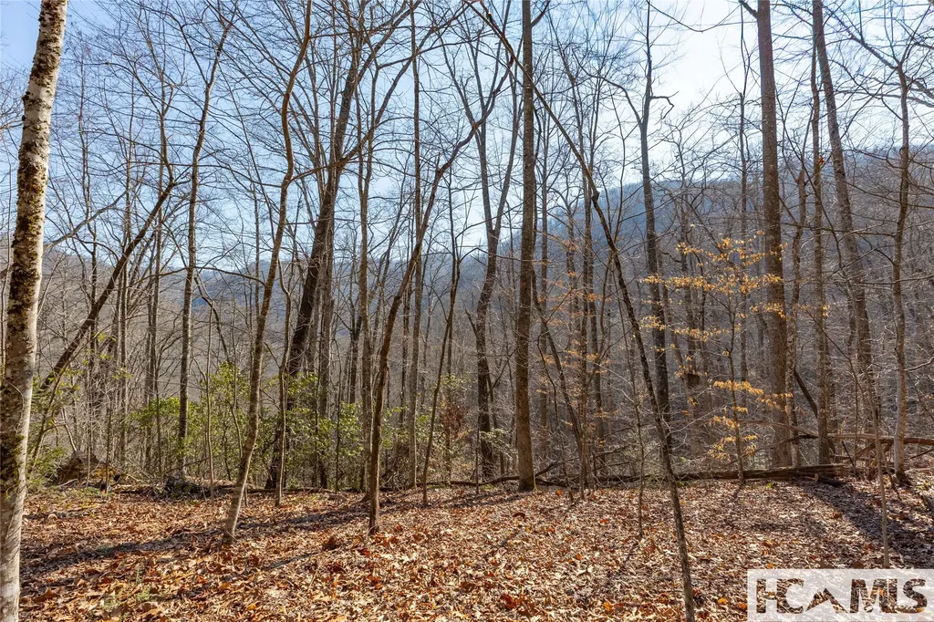 53/65B Cullowhee Forest Road Cullowhee NC 28723