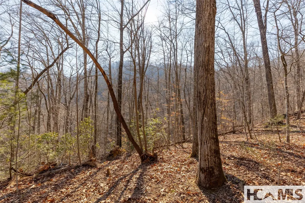 53/65B Cullowhee Forest Road Cullowhee NC 28723