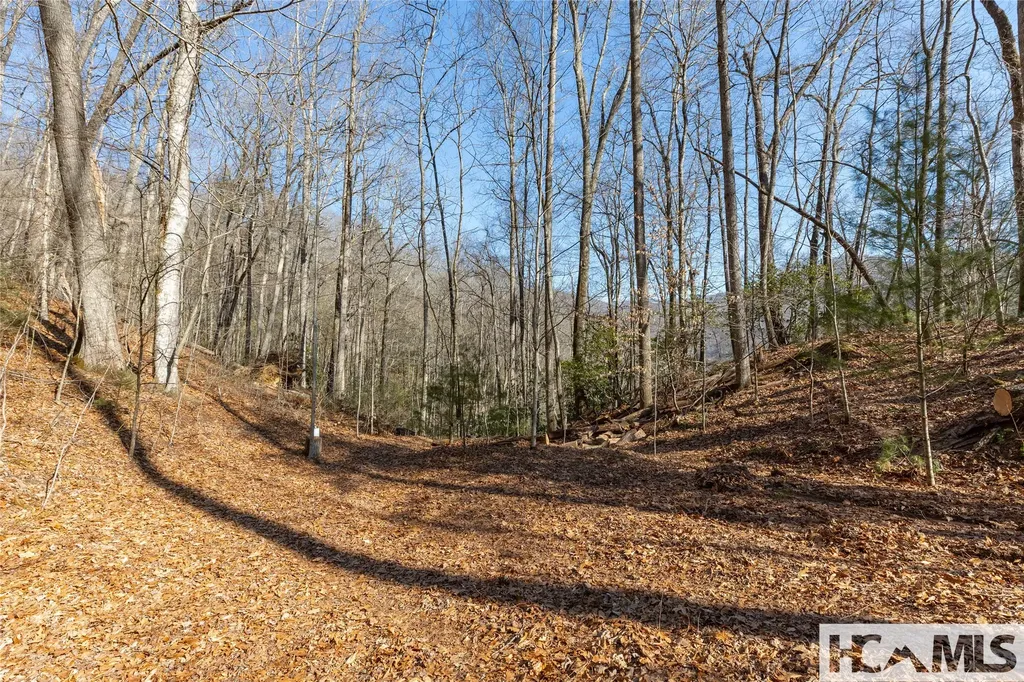 53/65B Cullowhee Forest Road Cullowhee NC 28723
