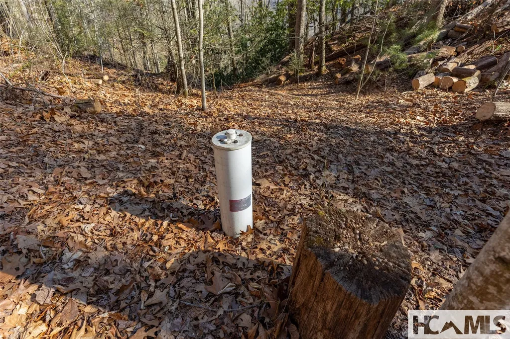 53/65B Cullowhee Forest Road Cullowhee NC 28723