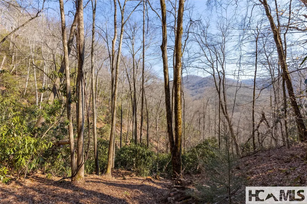53/65B Cullowhee Forest Road Cullowhee NC 28723