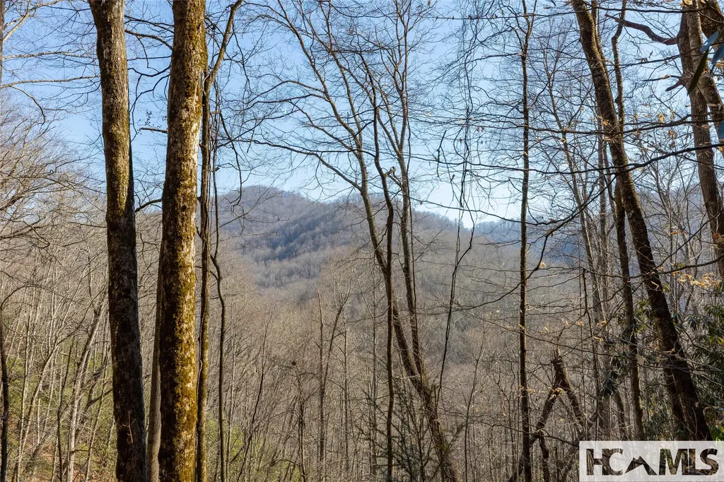 53/65B Cullowhee Forest Road Cullowhee NC 28723