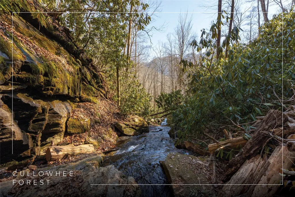 53/65B Cullowhee Forest Road Cullowhee NC 28723