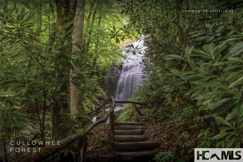 53/65B Cullowhee Forest Road Cullowhee NC 28723