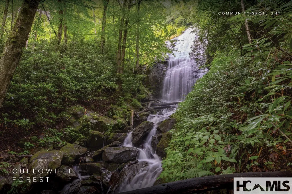 53/65B Cullowhee Forest Road Cullowhee NC 28723