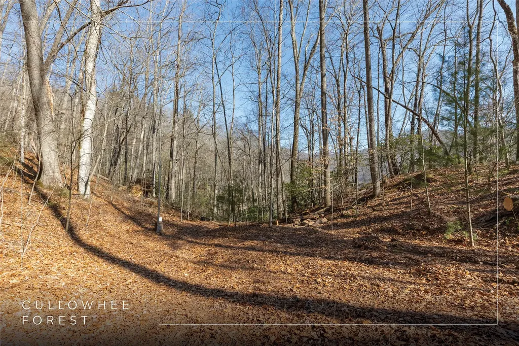 53/65B Cullowhee Forest Road Cullowhee NC 28723