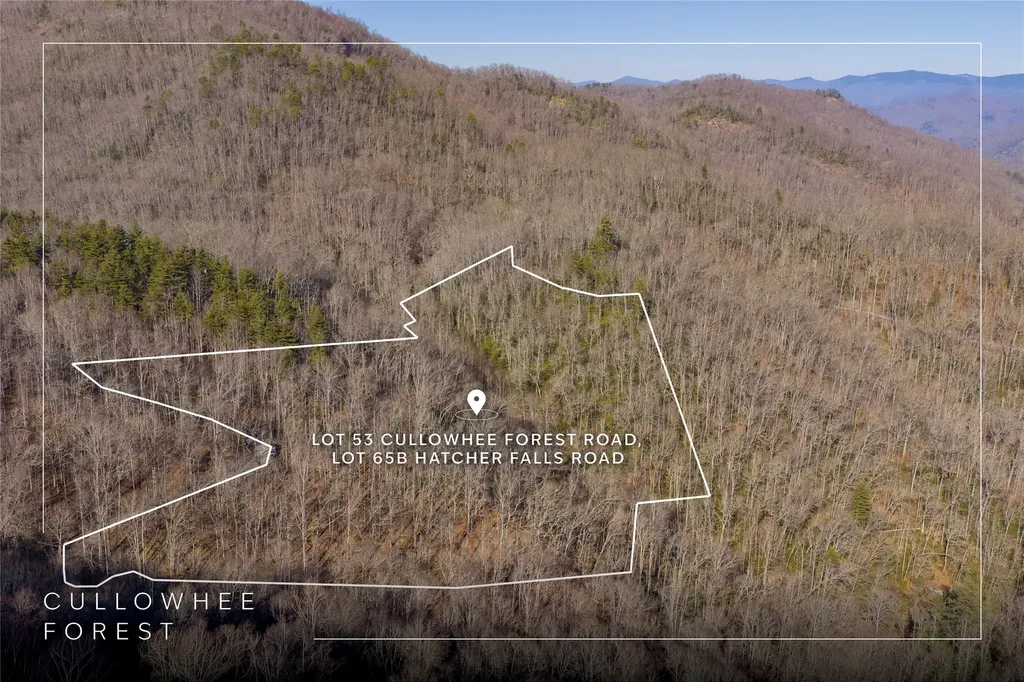 53/65B Cullowhee Forest Road Cullowhee NC 28723