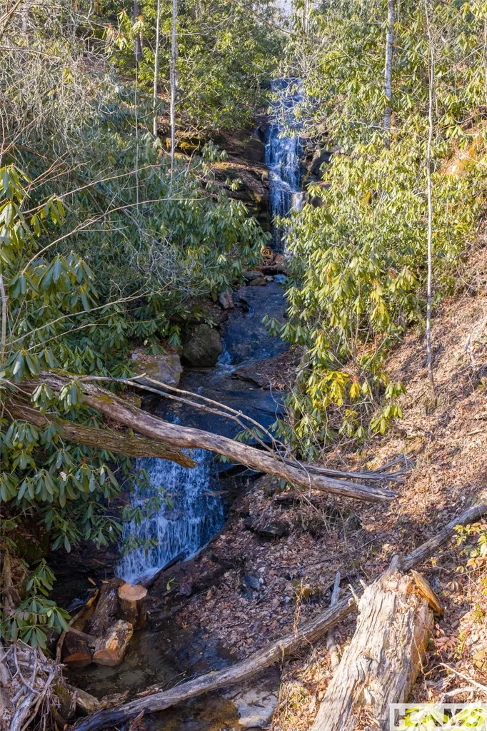 53/65B Cullowhee Forest Road Cullowhee NC 28723