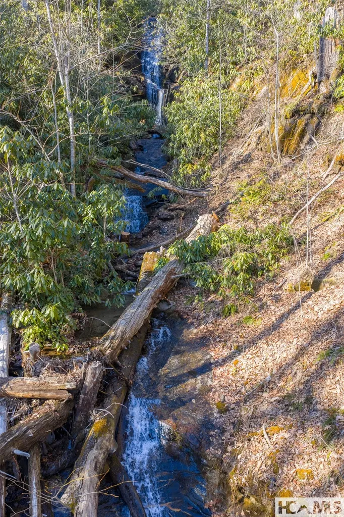 53/65B Cullowhee Forest Road Cullowhee NC 28723