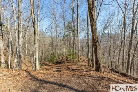 53/65B Cullowhee Forest Road Cullowhee NC 28723