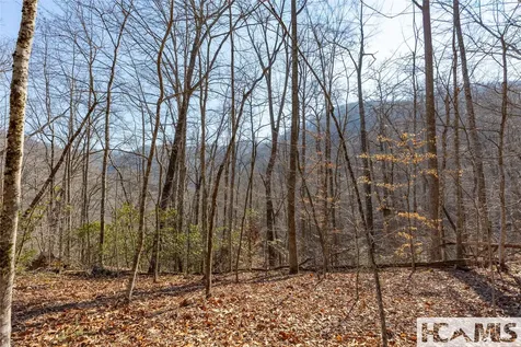 53/65B Cullowhee Forest Road Cullowhee NC 28723