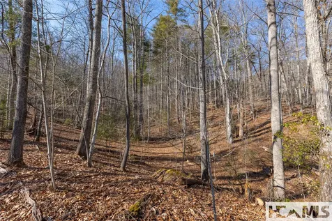 53/65B Cullowhee Forest Road Cullowhee NC 28723