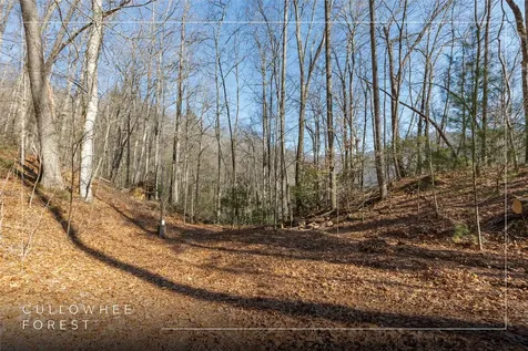 53/65B Cullowhee Forest Road Cullowhee NC 28723