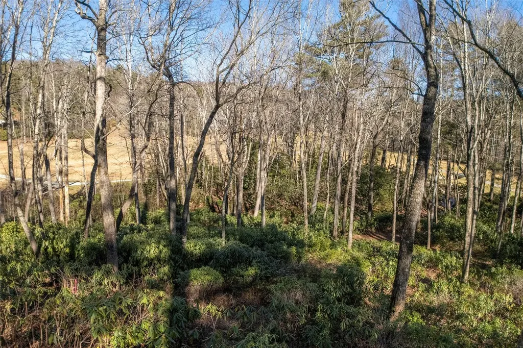 L 9a R Old Mine Point Lake Toxaway NC 28747