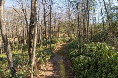 L 9a R Old Mine Point Lake Toxaway NC 28747