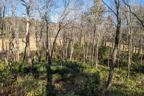 L 9a R Old Mine Point Lake Toxaway NC 28747