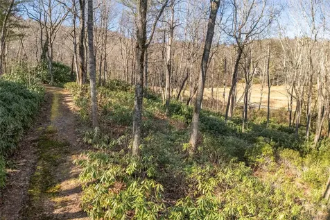 L 9a R Old Mine Point Lake Toxaway NC 28747