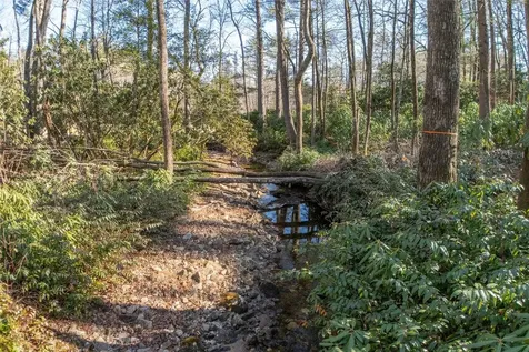 L 9a R Old Mine Point Lake Toxaway NC 28747