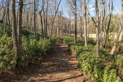 L 9a R Old Mine Point Lake Toxaway NC 28747