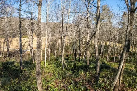 L 9a R Old Mine Point Lake Toxaway NC 28747